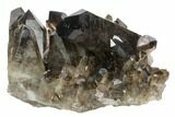 Dark Smoky Quartz Crystal Cluster - Brazil #124609-1